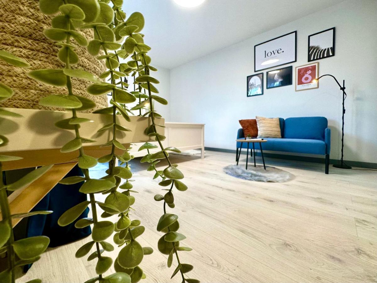 Chic Apartment Timisoara